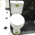 Hot Sale Design Two-Piece bathroom Toilet to European Market